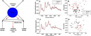 Raman tweezers spectra