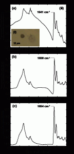 Single cell analysis