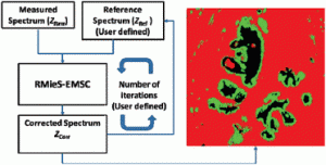 Graphical abstract