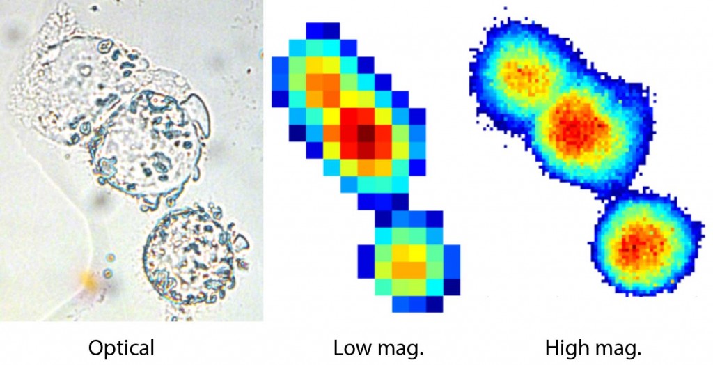 Graphical abstract